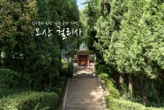 오산 가볼만한곳 맛집 카페 추천 반려견 사진 명소_13