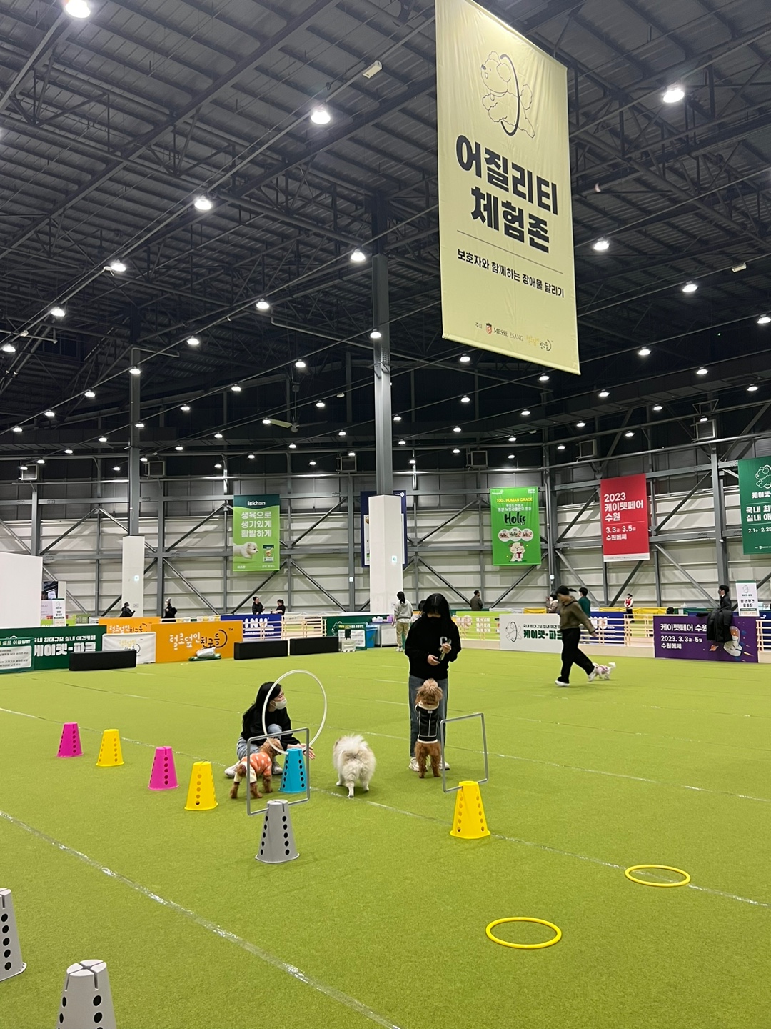 애견 카페 크고 괜찮은 곳14