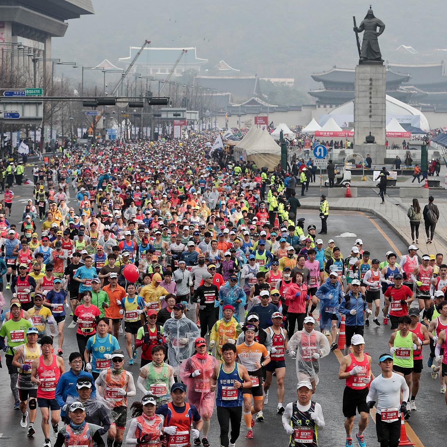 한국VS해외 글로벌 러닝 대회 비교 방식 관련 사진