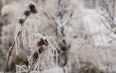 대구 북구 도시가스 전화번호(대성에너지 고객센터)