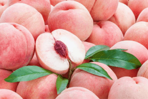 숙취해소효능20