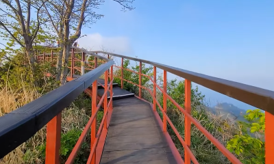 울릉도,독도여행