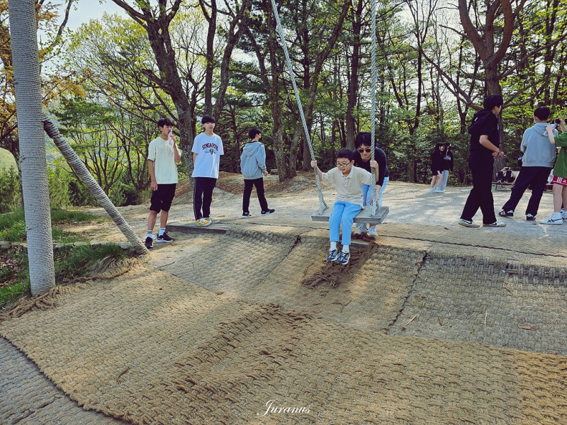 애니포레 15