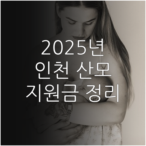 2025 인천 산모신생아 건강관리 본..