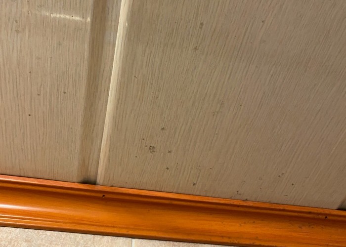 화장실 곰팡이6