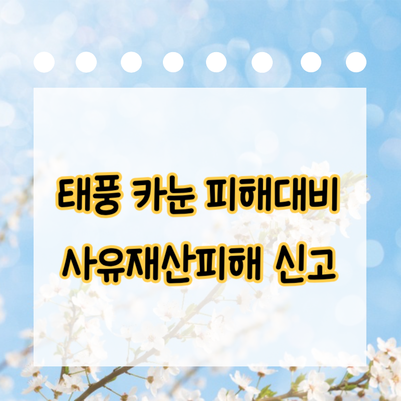 태풍 카눈 피해대비 사유재산피해신고 글자이미지