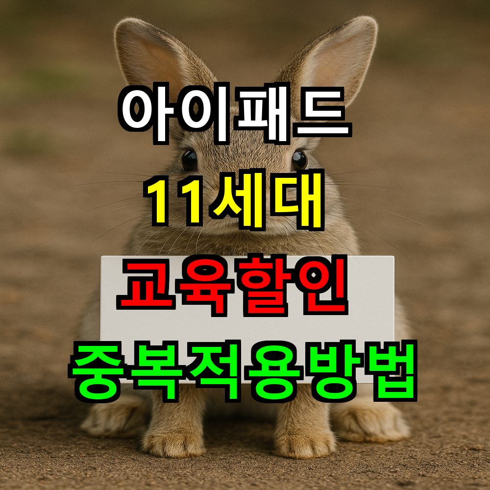 아이패드 11세대 교육할인 중복적용 완벽가이드 2025