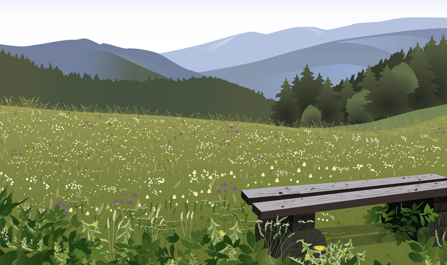 봄나물 잘못 먹으면 독? 달래 두릅 고사리 안전하게 먹는 독성 제거 손질법