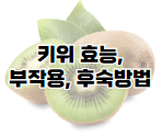 파인애플 효능과 부작용 자르는법