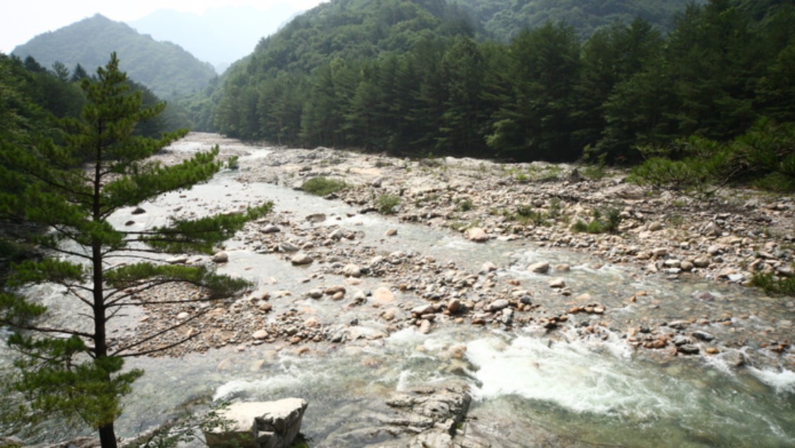강원도 백담사 계곡 관련 사진