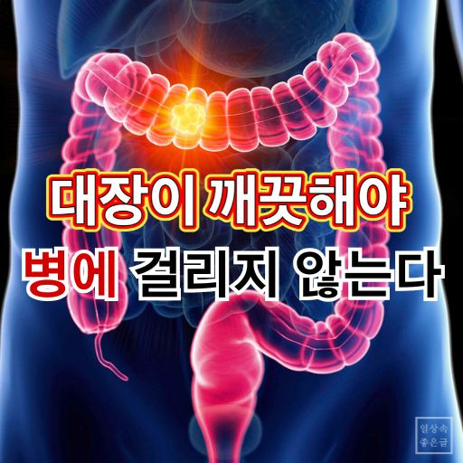 대장 건강 이미지, 장 청소 필요성, 대장이 깨끗해야 병 예방, 대장암 예방법 건강 정보