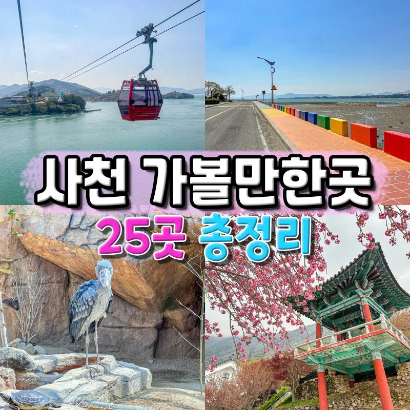 사천 가볼만한곳 맛집 추천 카페 애견동반 관광 명소_1