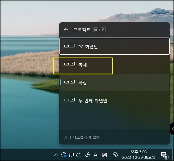 디스플레이 복제