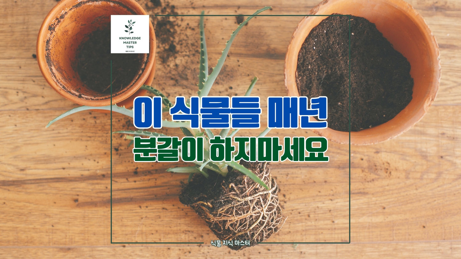 분갈이, 이 실내식물들은 건드리지 마세요