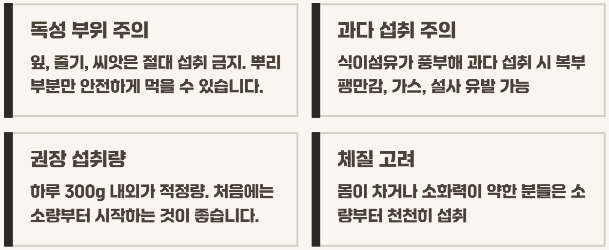 히카마 효능 부작용