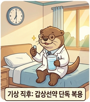 시강직후 갑상선약을 먹고있는 수달