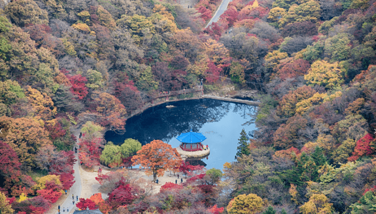 멀리서 바라본 연못 주변 단풍들