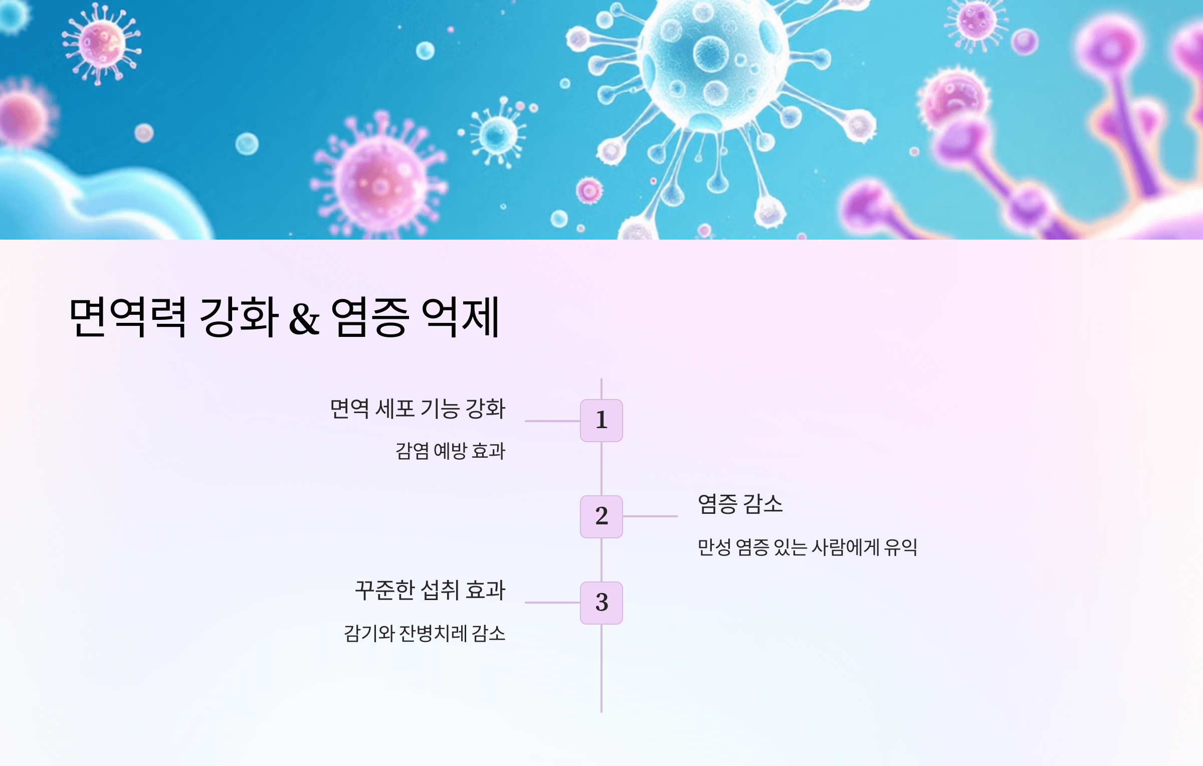 코큐텐과 관련된 사진입니다.