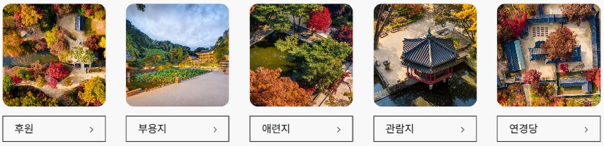 창덕궁 후원 관람
