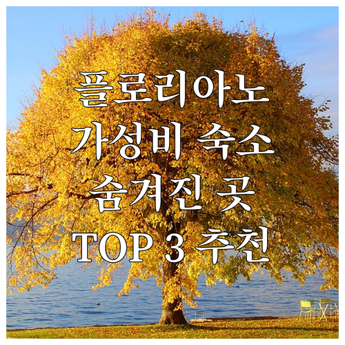 플로리아노폴리스 가성비 호텔 추천 T..