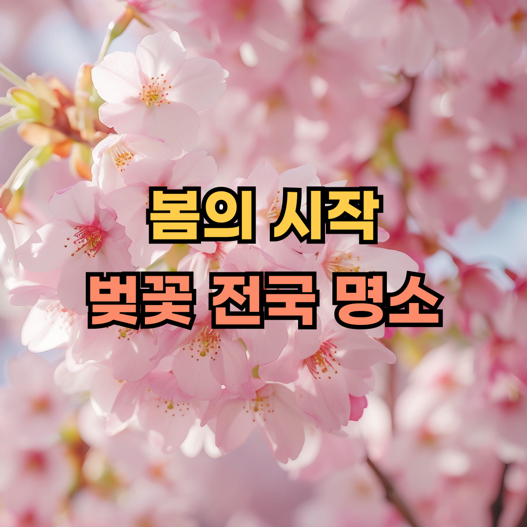 벚꽃명소