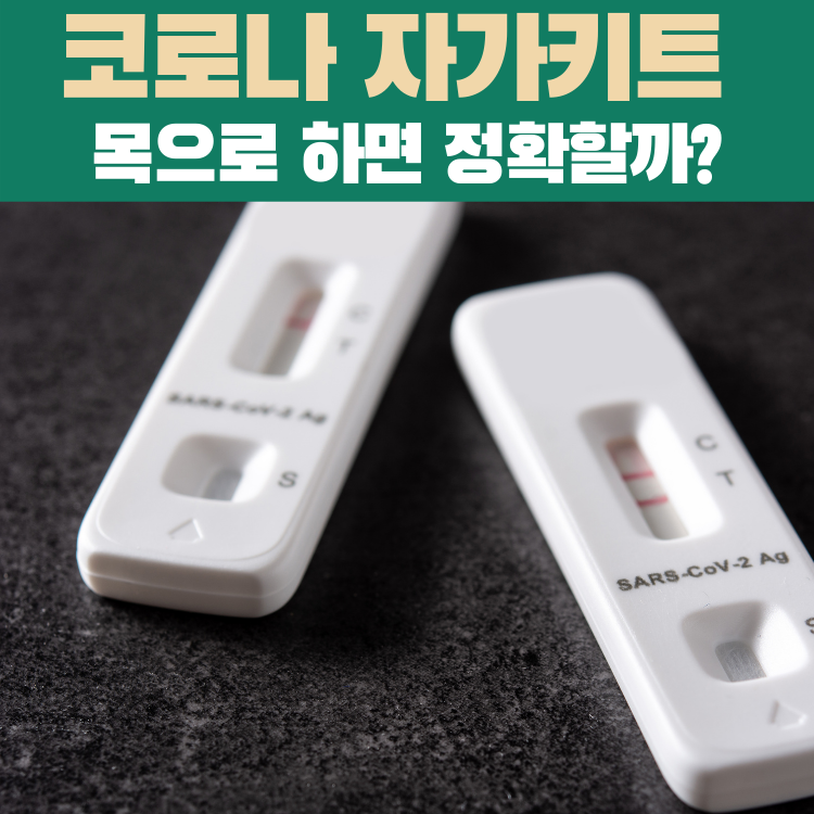 코로나 자가진단키트 목으로 썸네일