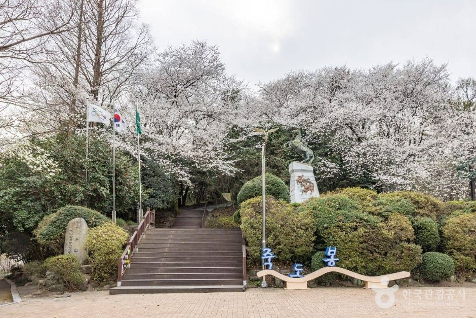 순천 가볼만한곳 베스트10