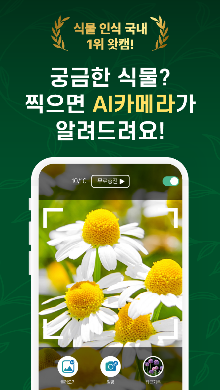 왓캠, 꽃 이름 찾기 어플, 꽃 사진으로 꽃 이름 찾아보기
