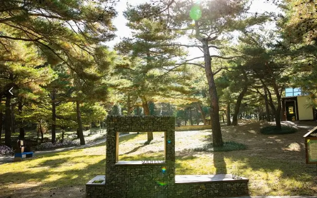 강릉솔향수목원