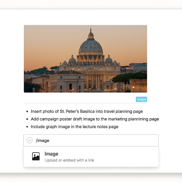 노션에 사진과 이미지 삽입하기 사진