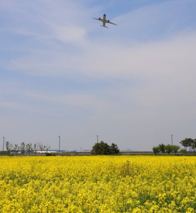 세계봄꽃여행지