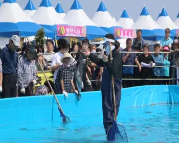 서천 자연산 광어 도미축제_13