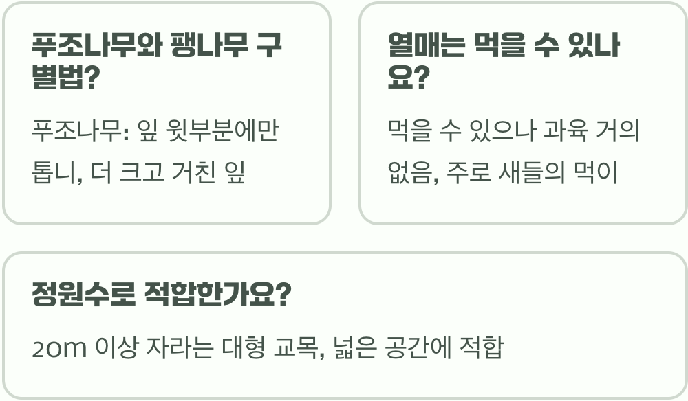 푸조나무의 사계절, 계절에 따라 변하는 아름다운 모습