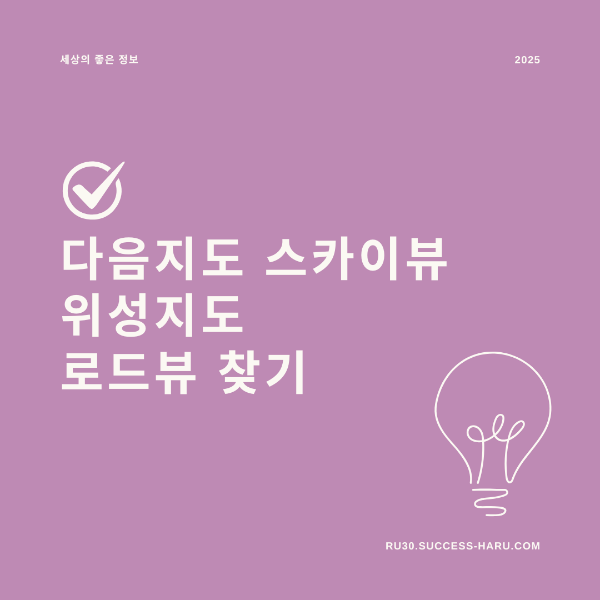 다음지도 스카이뷰