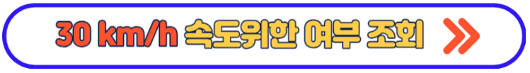 암행순찰차