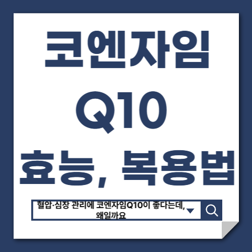 코엔자임Q10 효능 복용방법 총정리