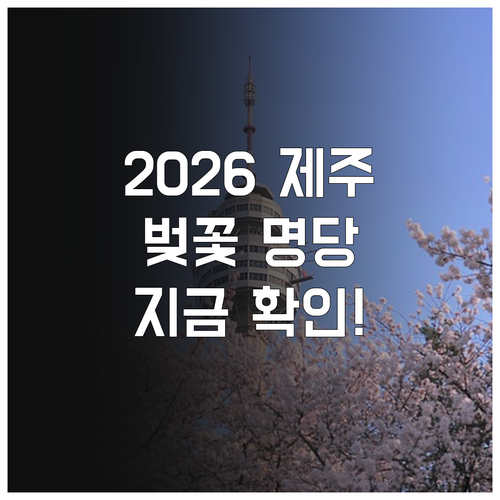 2026년 제주 벚꽃 개화 일정 및 ..