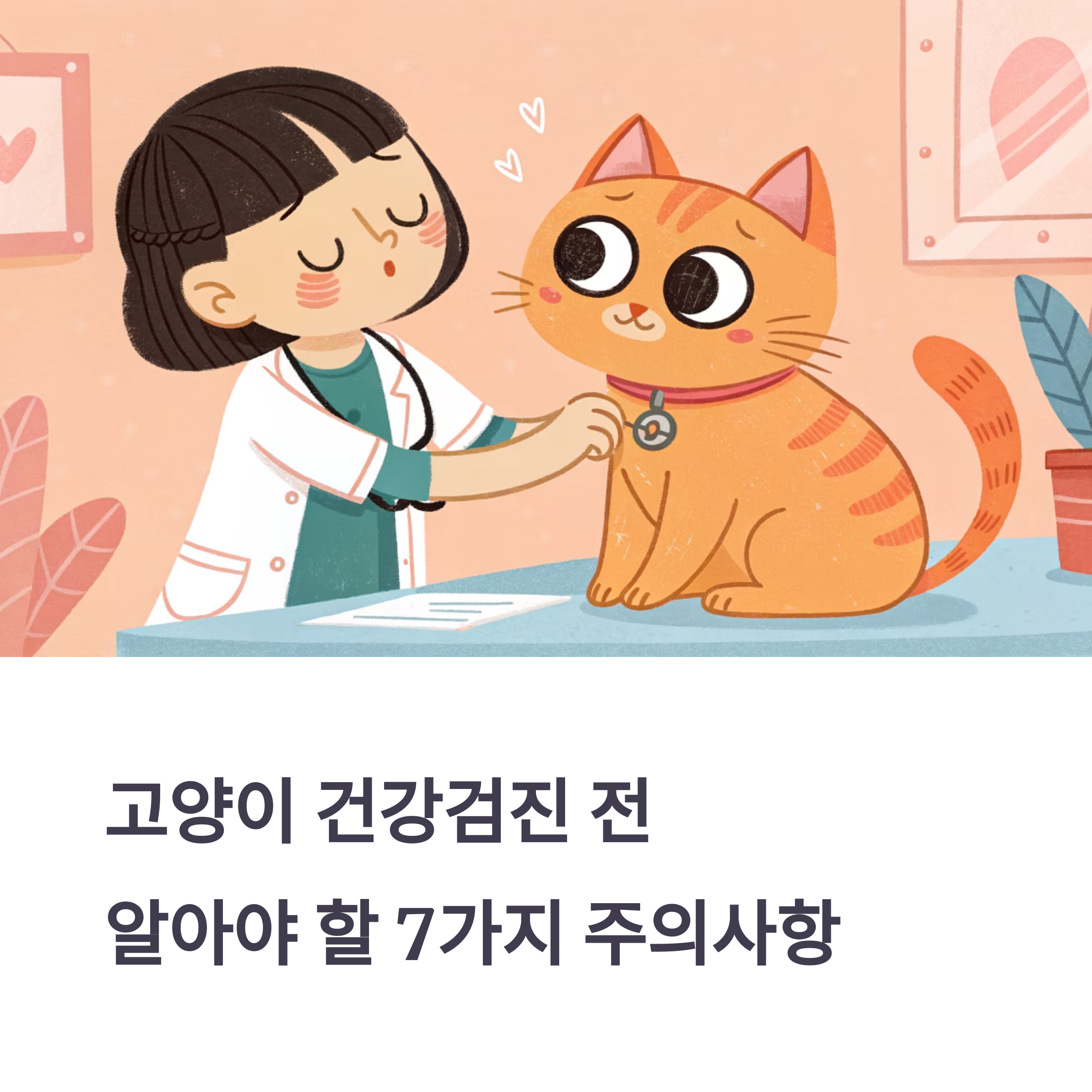 고양이 건강검진 전 꼭 알아야 할 7가지 주의사항