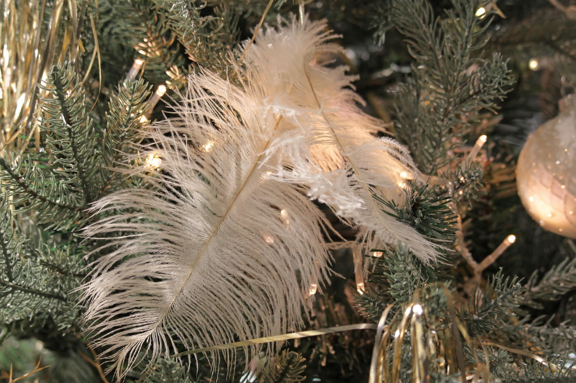 명동 신세계백화점 크리스마스 미디어파사드 기간∙점등시간∙명당