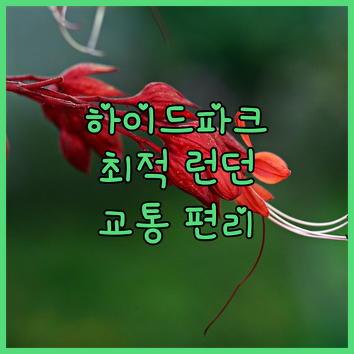 더 컴버랜드 후기 하이드파크 바로 앞