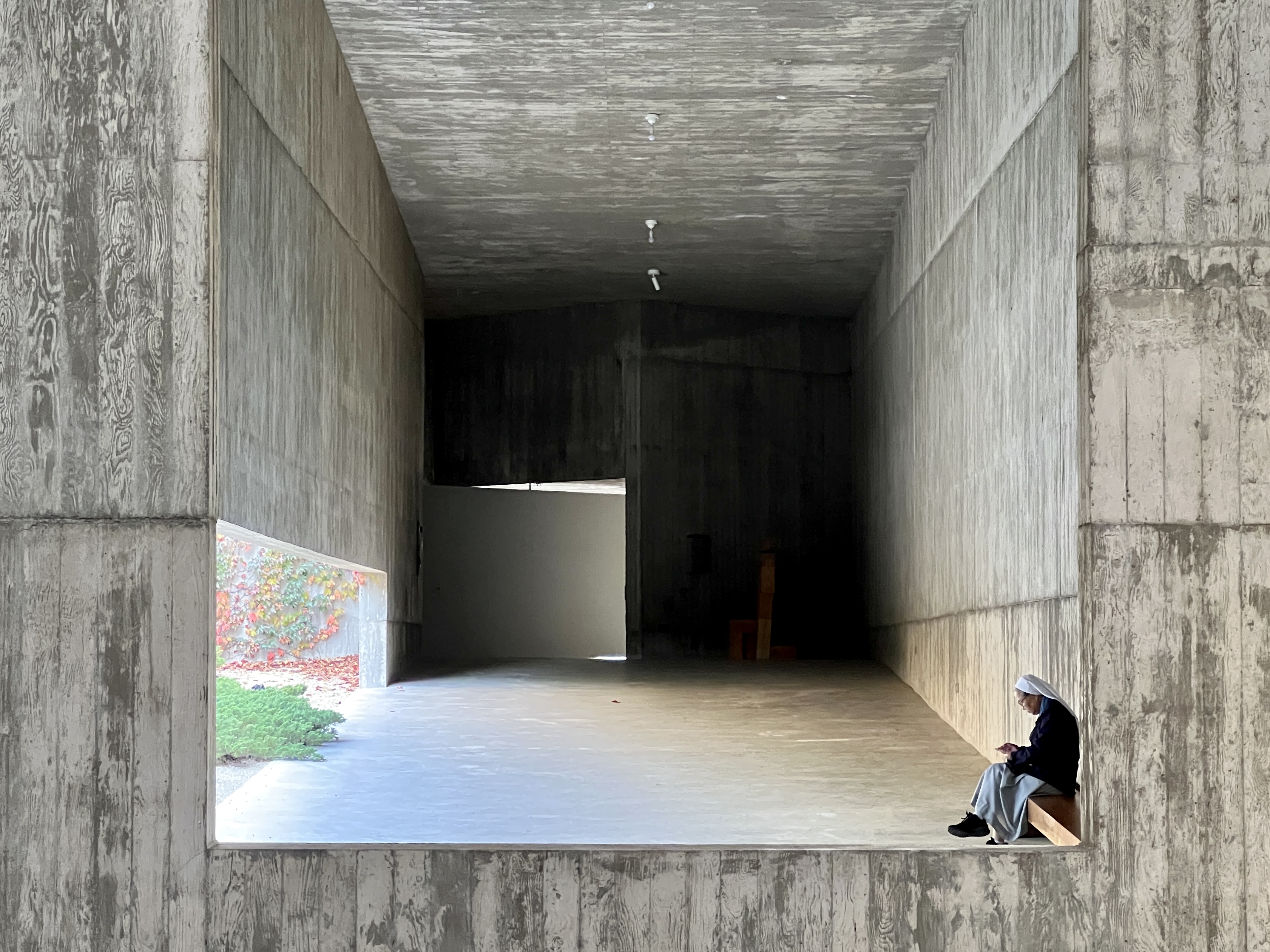 모과나무 4그루로 시작한 사색의 공간, 대구 군위 사유원