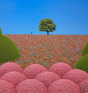 2024년 서울에서 꼭 봐야 할 이색 전시회