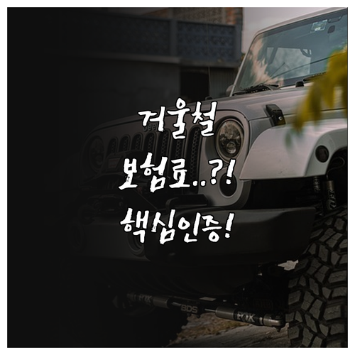 공정한 보험료 정산 캐롯 퍼마일 겨울..