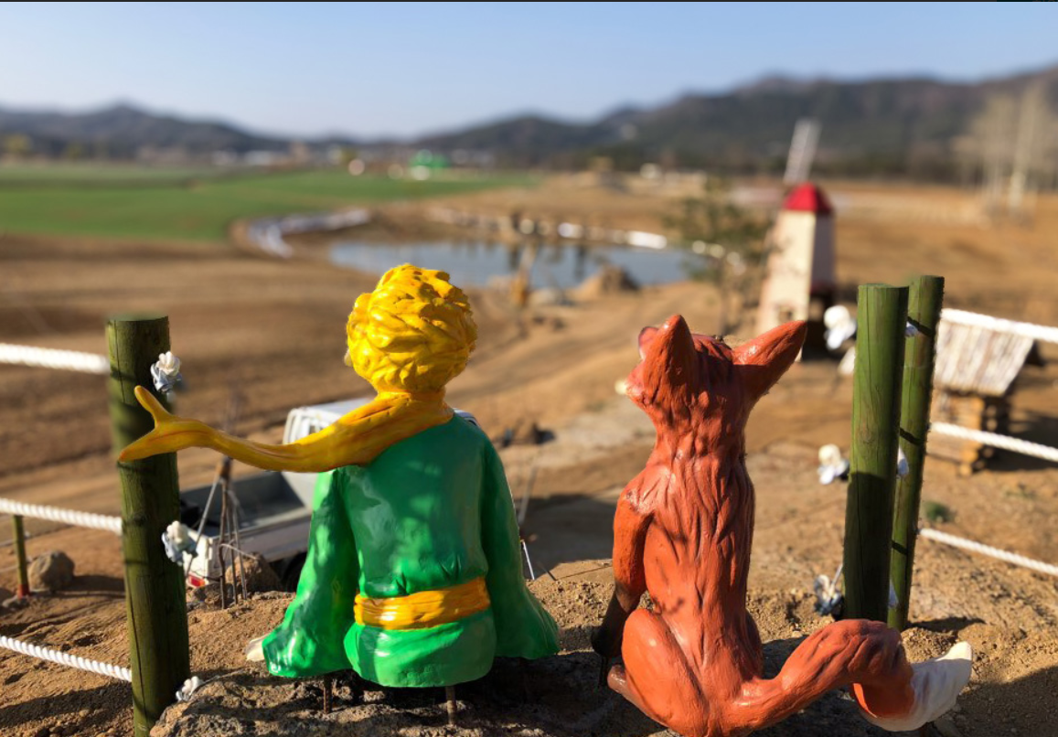 고석정 꽃밭