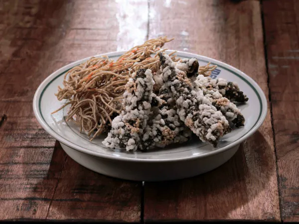 생생정보 음식점 위치