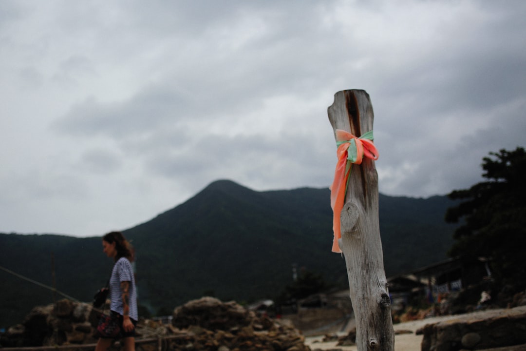 Disasterๆฏๆด๊ธ (Disaster Relief Fund)