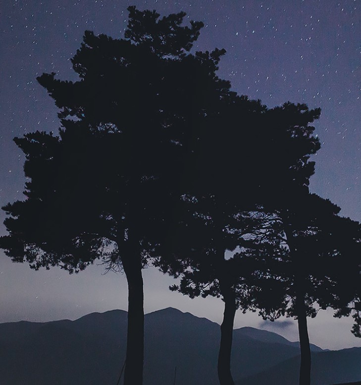서울대공원