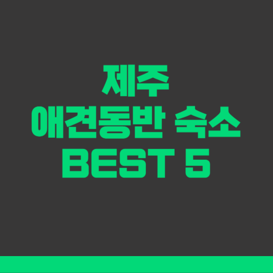 제주 애견동반 숙소 BEST5