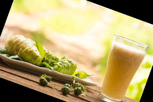 콤부차 효능 부작용 이디아 콤부차