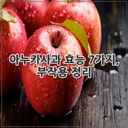 아누카사과 효능 7가지, 부작용 정리